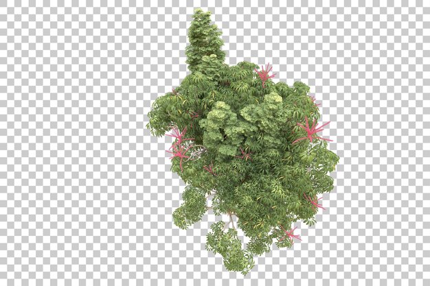 realistic forest isolated on transparent background 3d rendering illustration