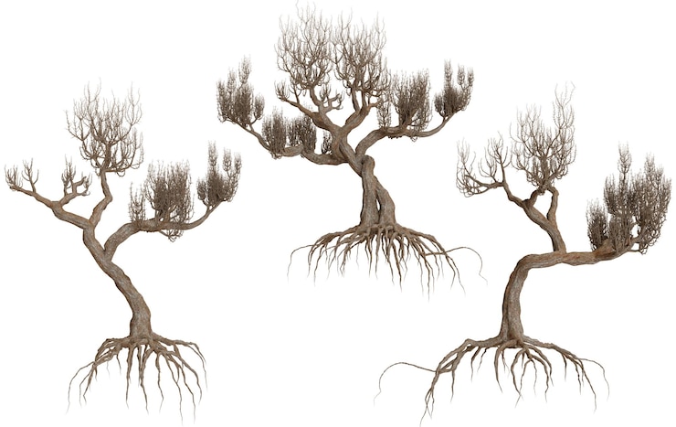 PSD realistic illustrations of bare trees with exposed roots against a white backdrop