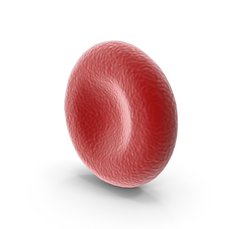 PSD realistic rendering of a red blood cell