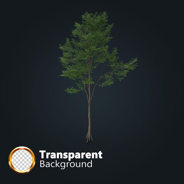 Realistic tree transparent with an isolated image of single Isometric tree png