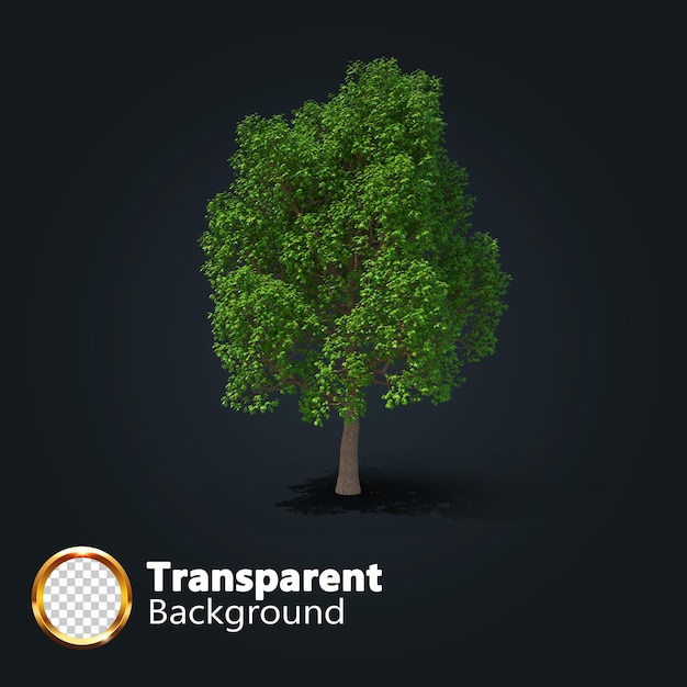 Realistic tree transparent with an isolated image of single Isometric tree png