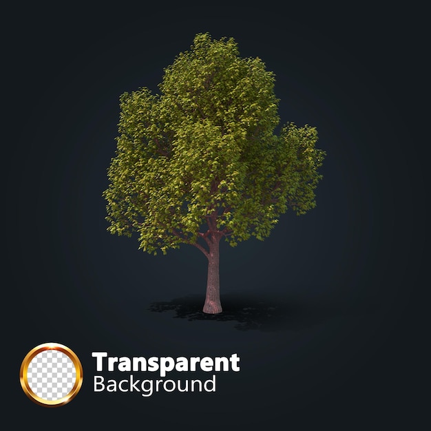 Realistic tree transparent with an isolated image of single Isometric tree png