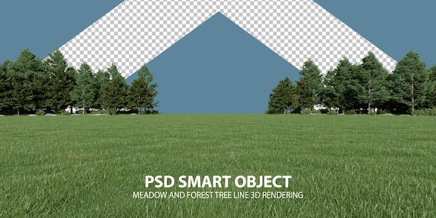 Realistico prato e foresta albero linea rendering 3d di oggetti isolati