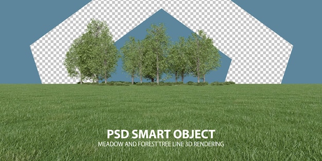 Realistico prato e foresta albero linea rendering 3d di oggetti isolati