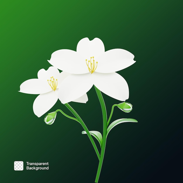 Realistische 3D-PNG-Vorlage für Blumen