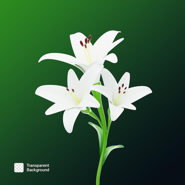 Realistische 3D-PNG-Vorlage für Blumen