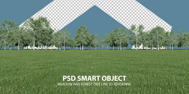 Realistische 3D-Rendering von isolierten Objekten auf Wiesen und Waldbäumen