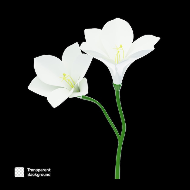 Realistische Blumen 3D-Ikonen PNG-Vorlage