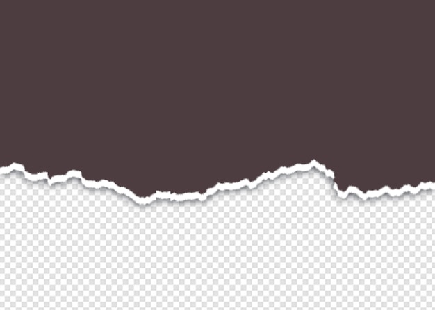Realistische Papierrissen-Textur