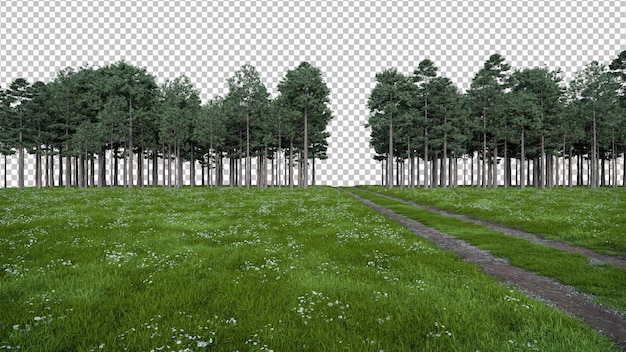 Realistische Wiese- und Pfadwanderung mit Waldbaumlinie 3D-Rendering von isolierten Objekten