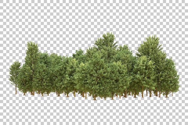 Realistischer Wald isoliert auf transparentem Hintergrund 3D-Rendering-Illustration