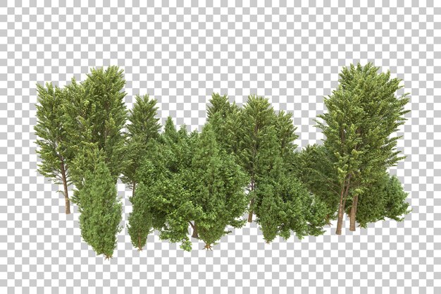 Realistischer Wald isoliert auf transparentem Hintergrund 3D-Rendering-Illustration