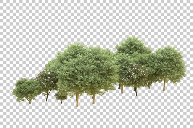 Realistischer Wald isoliert auf transparentem Hintergrund 3D-Rendering-Illustration
