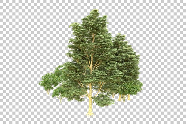 Realistischer Wald isoliert auf transparentem Hintergrund 3D-Rendering-Illustration