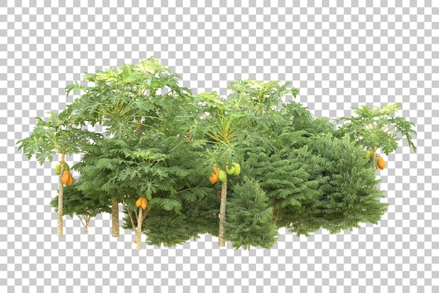 Realistischer Wald isoliert auf transparentem Hintergrund 3D-Rendering-Illustration