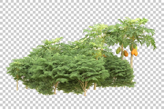 Realistischer Wald isoliert auf transparentem Hintergrund 3D-Rendering-Illustration