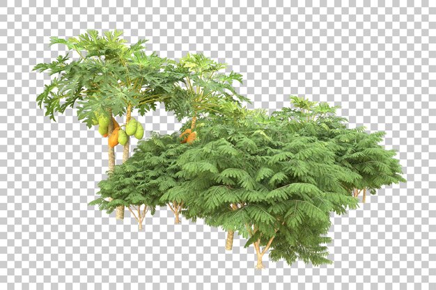 Realistischer Wald isoliert auf transparentem Hintergrund 3D-Rendering-Illustration