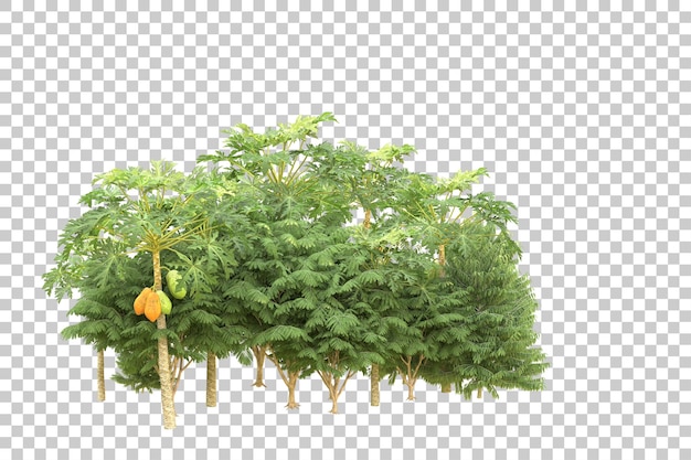 Realistischer Wald isoliert auf transparentem Hintergrund 3D-Rendering-Illustration