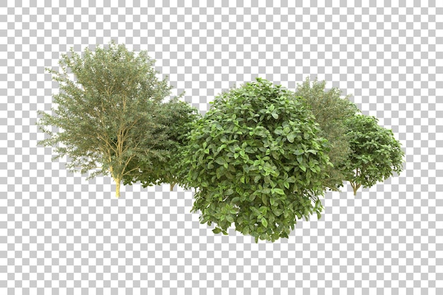 Realistischer Wald isoliert auf transparentem Hintergrund 3D-Rendering-Illustration