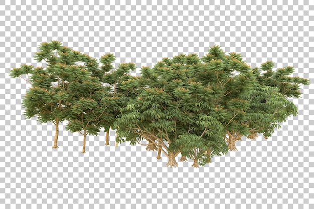 Realistischer Wald isoliert auf transparentem Hintergrund 3D-Rendering-Illustration