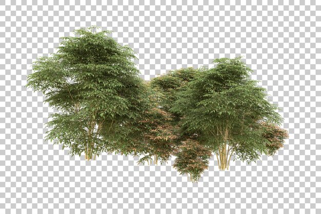 Realistischer Wald isoliert auf transparentem Hintergrund 3D-Rendering-Illustration