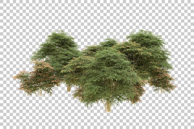 Realistischer Wald isoliert auf transparentem Hintergrund 3D-Rendering-Illustration