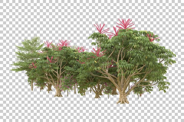 Realistischer Wald isoliert auf transparentem Hintergrund 3D-Rendering-Illustration