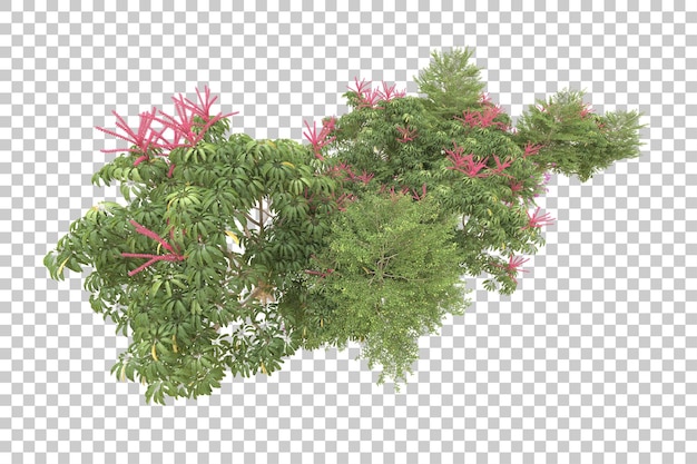 Realistischer Wald isoliert auf transparentem Hintergrund 3D-Rendering-Illustration