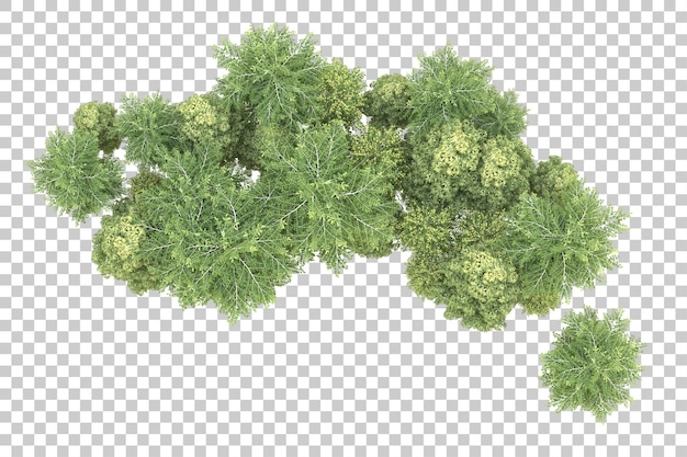 Realistischer Wald isoliert auf transparentem Hintergrund 3D-Rendering-Illustration