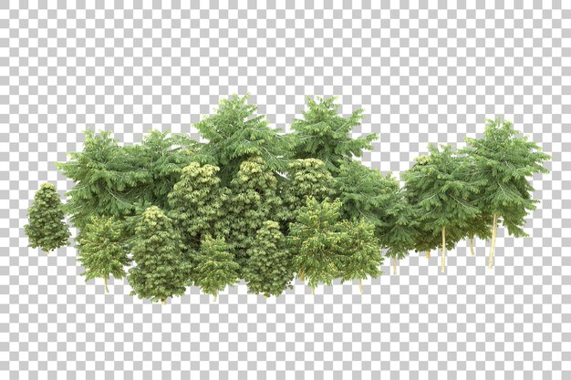 Realistischer Wald isoliert auf transparentem Hintergrund 3D-Rendering-Illustration