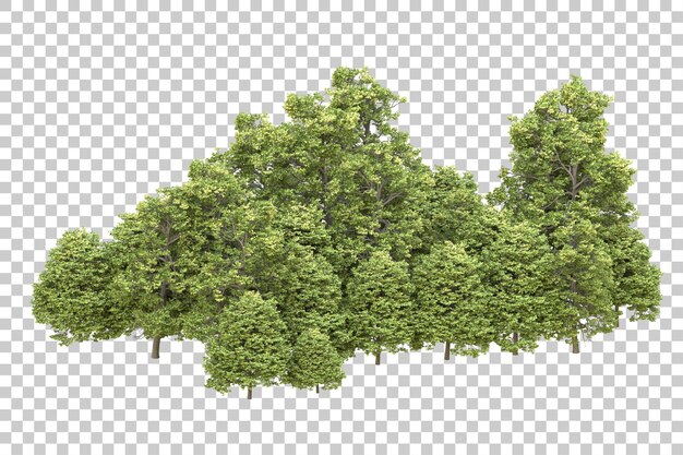 Realistischer Wald isoliert auf transparentem Hintergrund 3D-Rendering-Illustration