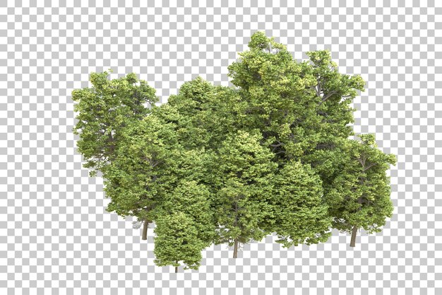 Realistischer Wald isoliert auf transparentem Hintergrund 3D-Rendering-Illustration