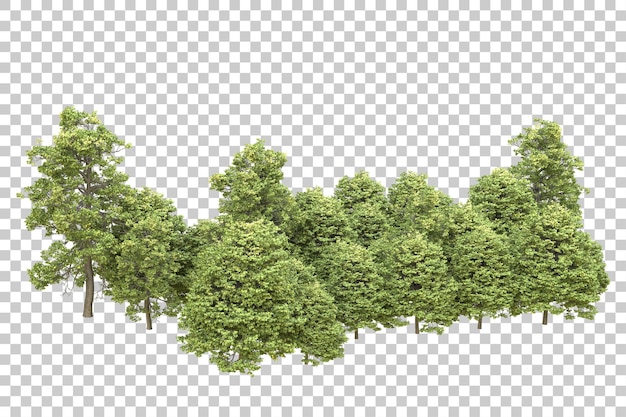 Realistischer Wald isoliert auf transparentem Hintergrund 3D-Rendering-Illustration