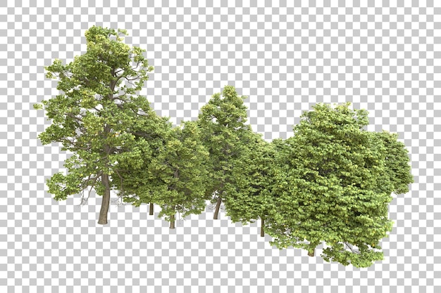 Realistischer Wald isoliert auf transparentem Hintergrund 3D-Rendering-Illustration