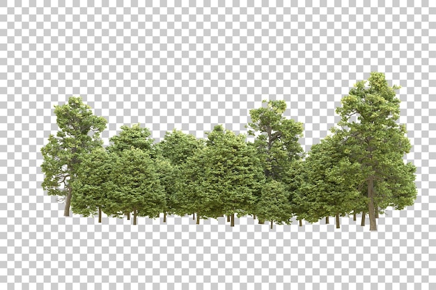 Realistischer Wald isoliert auf transparentem Hintergrund 3D-Rendering-Illustration