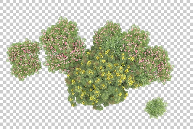 Realistischer Wald isoliert auf transparentem Hintergrund 3D-Rendering-Illustration