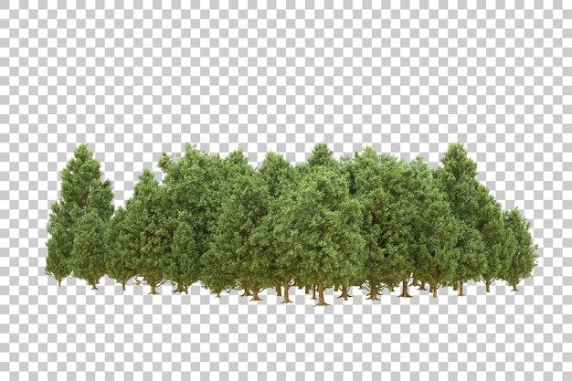 Realistischer Wald isoliert auf transparentem Hintergrund 3D-Rendering-Illustration