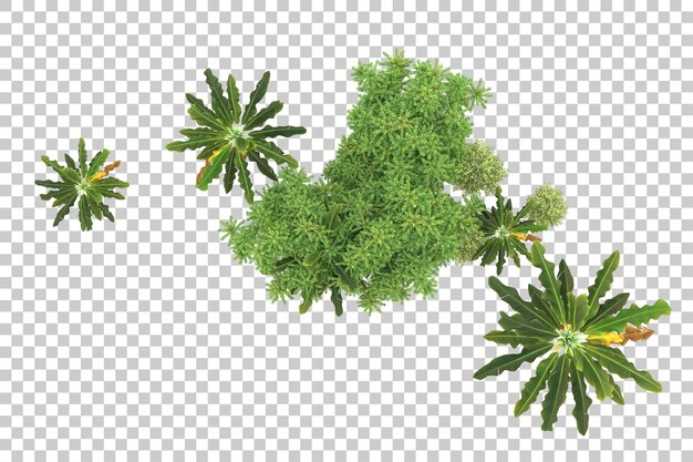 Realistischer Wald isoliert auf transparentem Hintergrund 3D-Rendering-Illustration