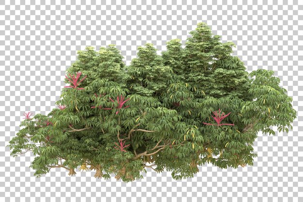 Realistischer Wald isoliert auf transparentem Hintergrund 3D-Rendering-Illustration