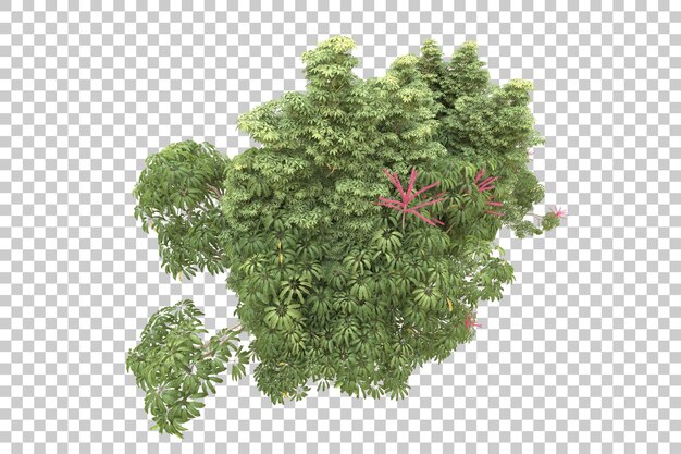 Realistischer Wald isoliert auf transparentem Hintergrund 3D-Rendering-Illustration