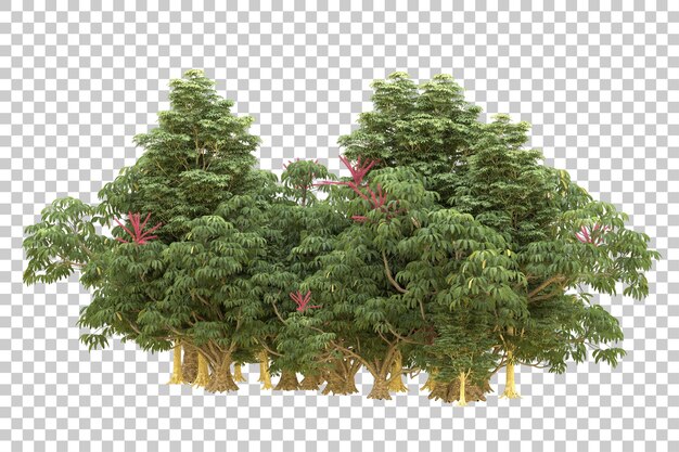 Realistischer Wald isoliert auf transparentem Hintergrund 3D-Rendering-Illustration