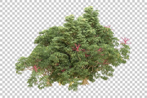 Realistischer Wald isoliert auf transparentem Hintergrund 3D-Rendering-Illustration