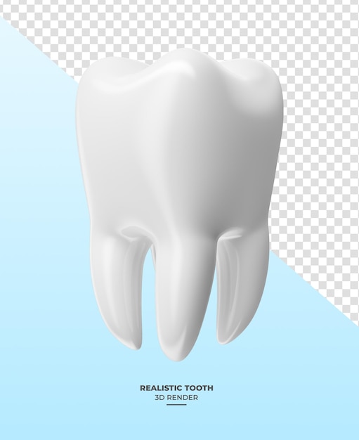 Realistischer Zahn in 3D-Rendering mit durchsichtigem Hintergrund