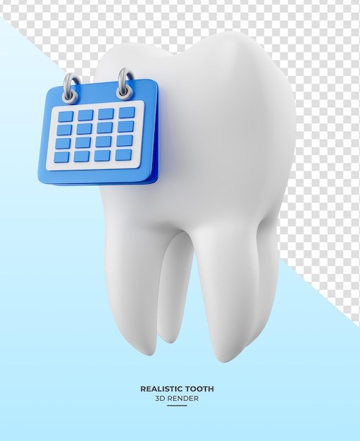 Realistischer Zahn mit Kalender-Symbol in 3D-Rendering mit durchsichtigem Hintergrund