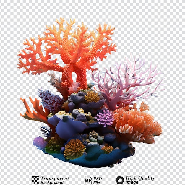 PSD recife de coral isolado em fundo transparente