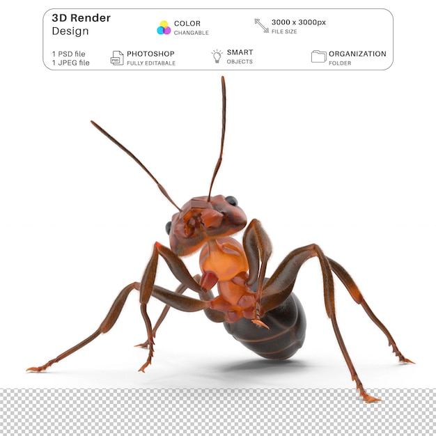 Red Ant 3D Modeling PSD File Realistic Ant