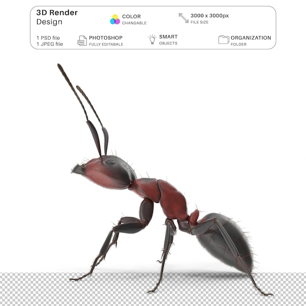 PSD red ant modelagem 3d arquivo psd formiga realista