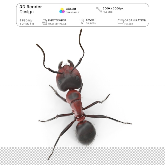 Red Ant Modeling 3D Archivo PSD Realista de la hormiga