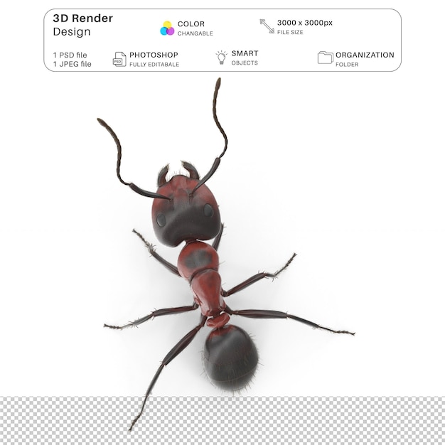 PSD red ant modeling 3d archivo psd realista de la hormiga