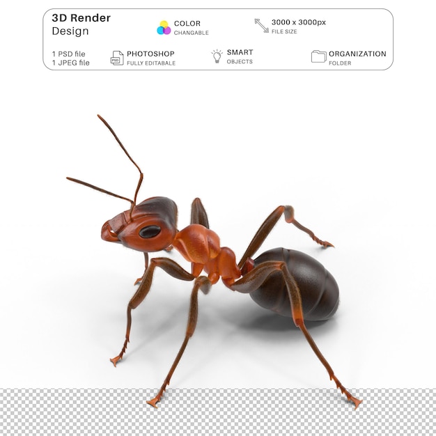 Red ant modeling 3d archivo psd realista de la hormiga